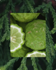 Bergamot & Cipres - Cosmos Organic Gecertificeerd
