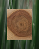 Santal & Vetiver - Cosmos Organic Gecertificeerd